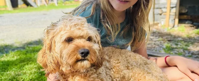 HPF - A young girl sits on the grass outdoors, holding a curly-haired dog on her lap, with houses and greenery in the background. - Happy Farm Puppies