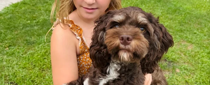 HPF - Young girl in a yellow dress holding a small brown and white dog outside on a grassy yard, with a white shed and flowers in the background. - Happy Farm Puppies