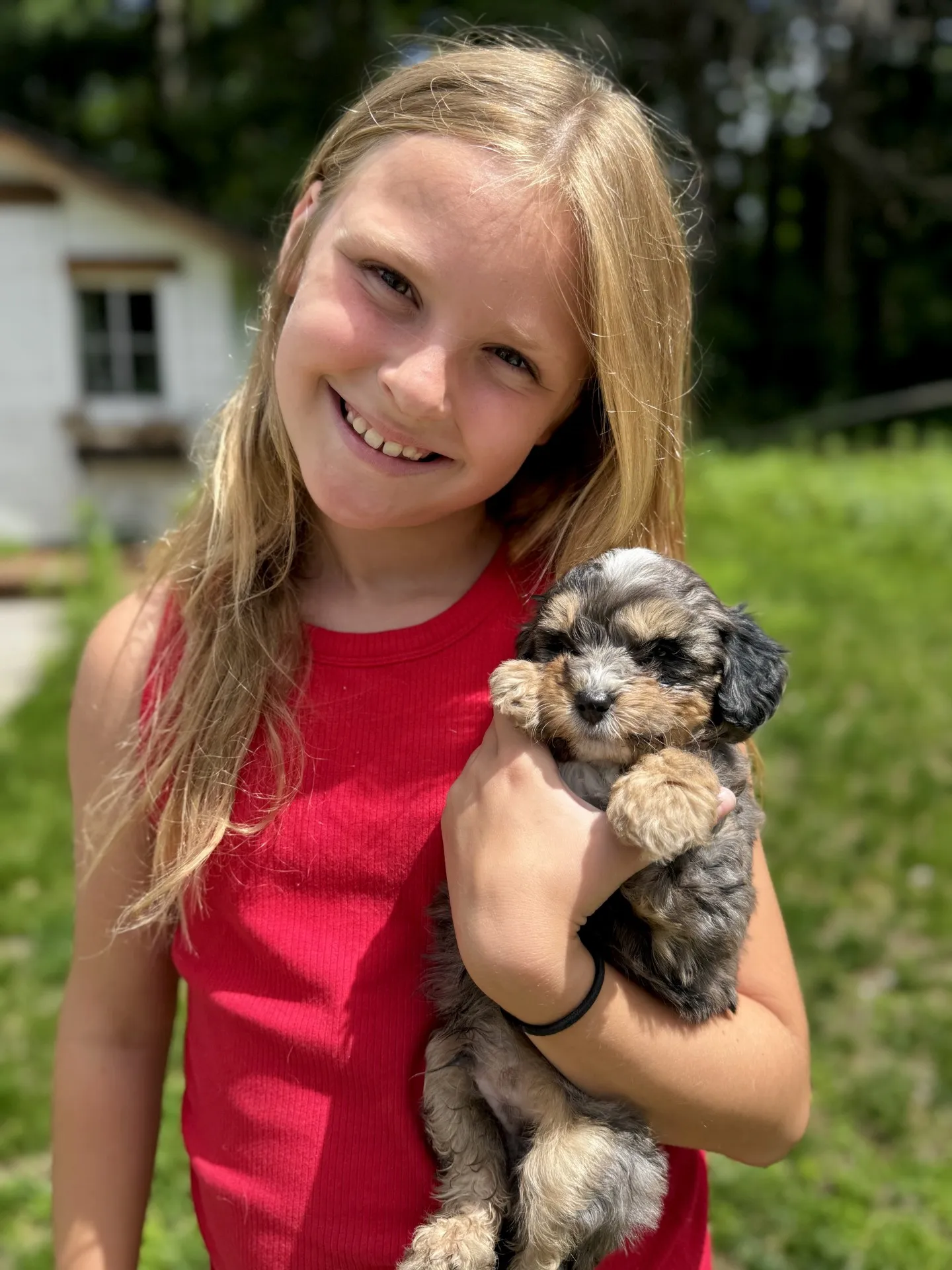 HPF – A young girl with long blonde hair wearing a red sleeveless top smiles while holding a small, fluffy puppy outdoors. – Happy Farm Puppies HPF - A young girl with long blonde hair wearing a red sleeveless top smiles while holding a small, fluffy puppy outdoors. - Happy Farm Puppies