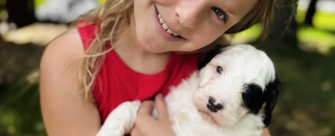 HPF - A young girl in a red shirt sits outdoors, smiling and holding a small white puppy with black markings. - Happy Farm Puppies