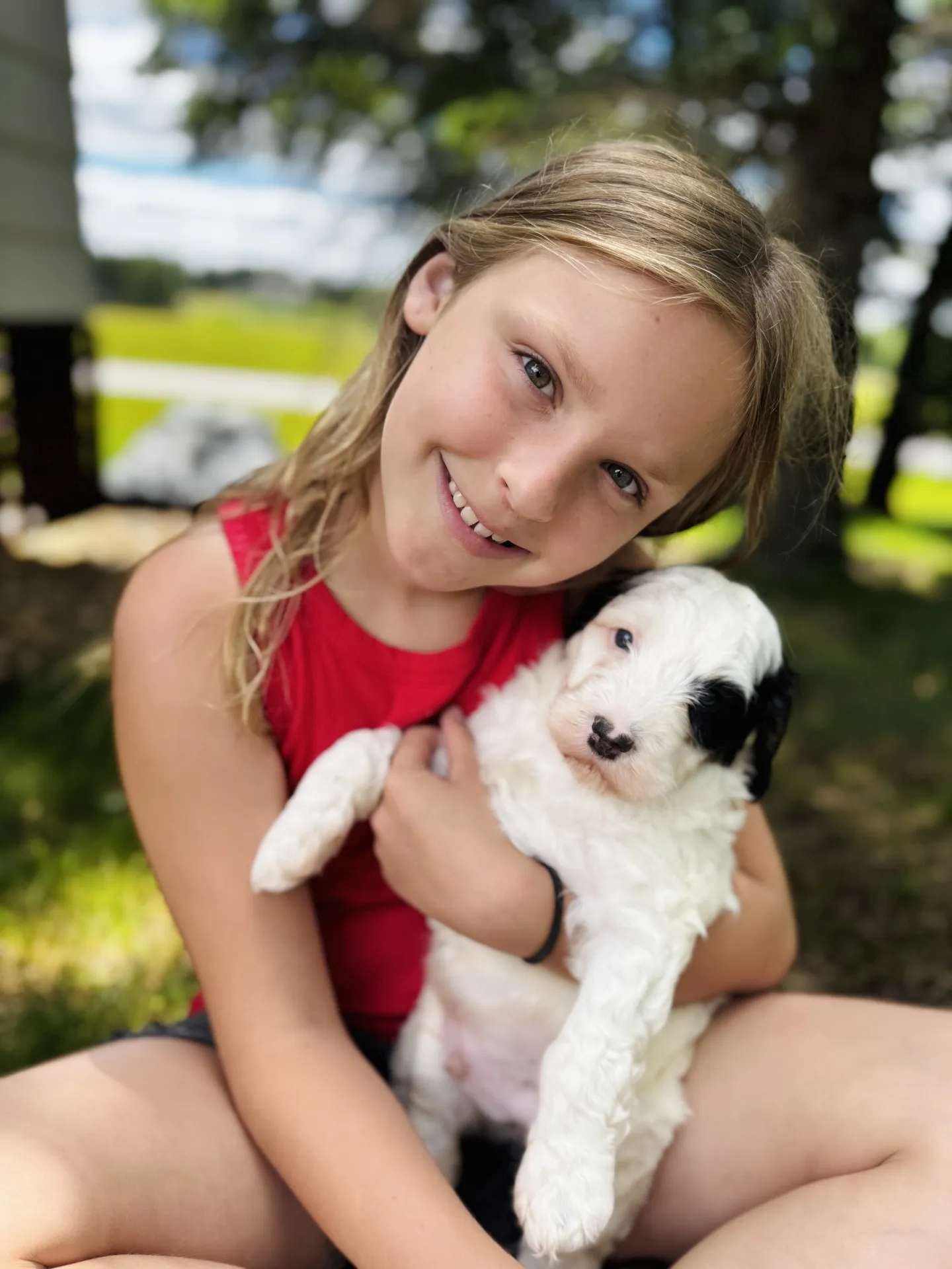 HPF - A young girl in a red shirt sits outdoors, smiling and holding a small white puppy with black markings. - Happy Farm Puppies