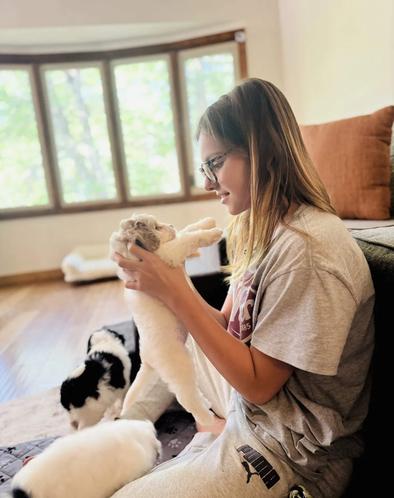 HPF – A person wearing glasses holds a small puppy indoors while two other puppies play nearby on the floor. – Happy Farm Puppies HPF - A person wearing glasses holds a small puppy indoors while two other puppies play nearby on the floor. - Happy Farm Puppies
